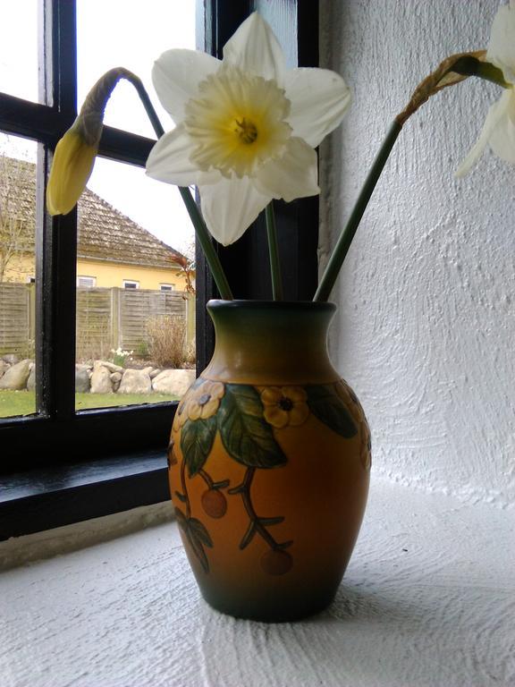 Dastrup Bed & Breakfast Viby Esterno foto