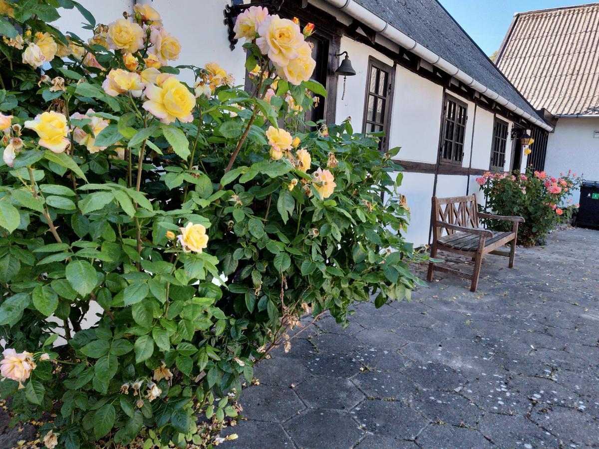 Dastrup Bed & Breakfast Viby Esterno foto